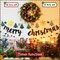20Inch Pre-Lit Light up Christmas Wreath Green (Leaves&red Berries) 15.76"D x 15.76"W x 3.94"H
